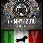 IBR ITALY