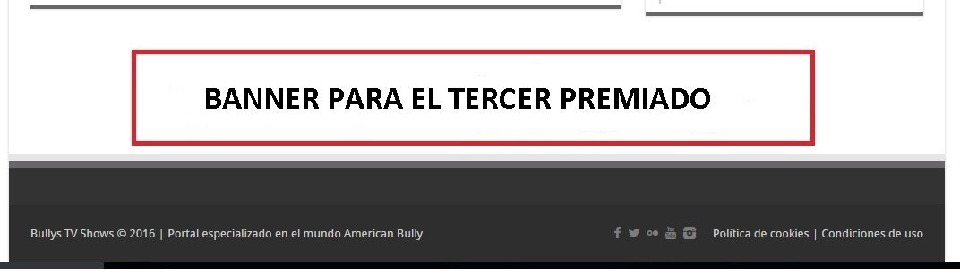 BANNER PARA EL TERCER PREMIADO1