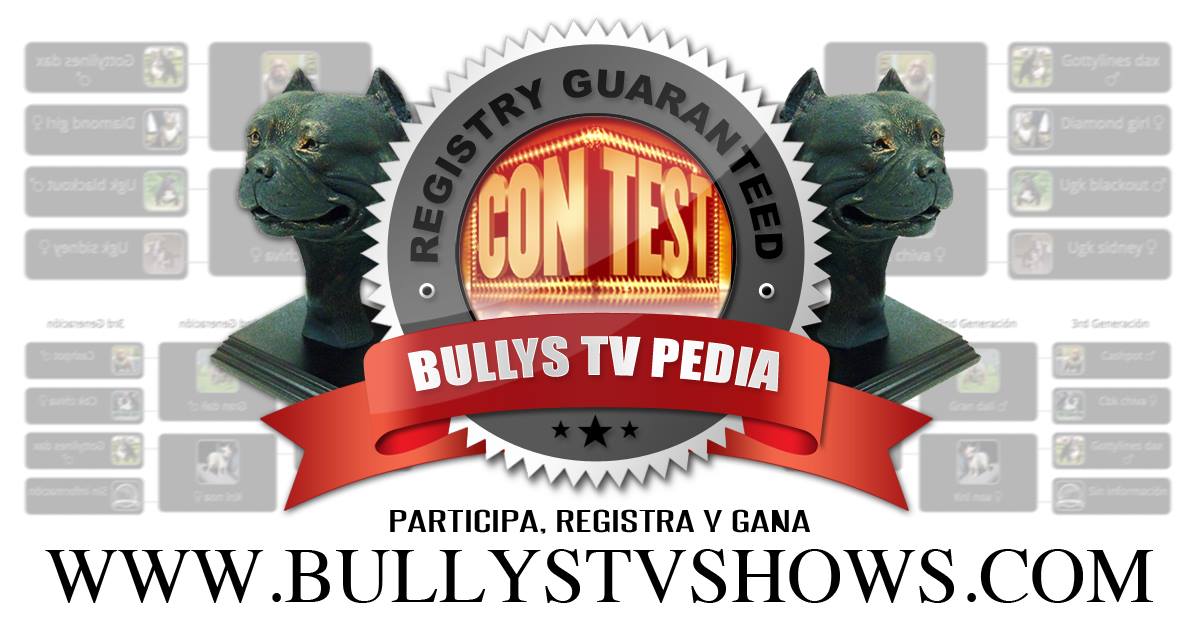 Concurso American Bully en BullysTVShows